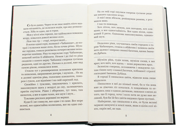 Паперова книга «В неділю рано зілля копала...», автор Ольга Кобилянська - фото №4 - мініатюра