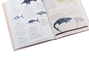 Паперова книга «Prehistoric Creatures of the Order», автор Джулс Ховард - фото №6 - мініатюра