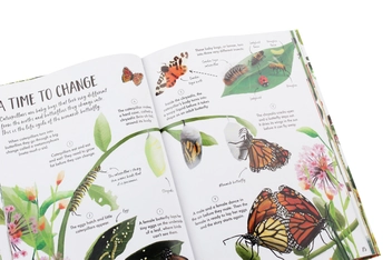 Паперова книга «My First Book of Nature», автор Камілла де ла Бедуайер - фото №5 - мініатюра