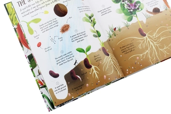 Паперова книга «My First Book of Nature», автор Камілла де ла Бедуайер - фото №6 - мініатюра