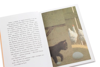 Бумажная книга «Неро Корлеоне. Історія одного кота», автор Эльке Хайденрайх - фото №5 - миниатюра