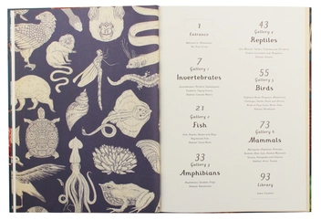 Бумажная книга «Animalium», автор Дженни Брум - фото №5 - миниатюра