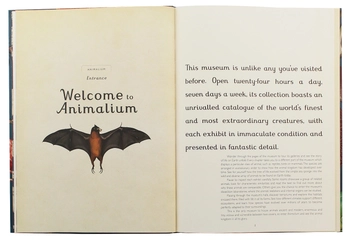 Бумажная книга «Animalium», автор Дженни Брум - фото №6 - миниатюра