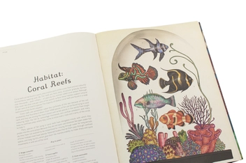 Бумажная книга «Animalium», автор Дженни Брум - фото №8 - миниатюра