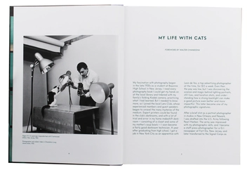 Паперова книга «Walter Chandoha. Cats. Photographs 1942–2018», авторів Волтер Чандоха, Сюзан Майклз - фото №4 - мініатюра