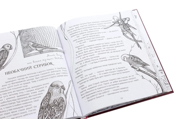 Паперова книга «Казки для Елізи. Різдвяний песик», автор Олександр Гаврош - фото №6 - мініатюра