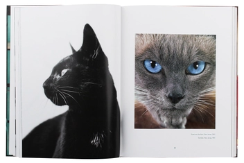 Паперова книга «Walter Chandoha. Cats. Photographs 1942–2018», авторів Волтер Чандоха, Сюзан Майклз - фото №5 - мініатюра