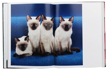 Паперова книга «Walter Chandoha. Cats. Photographs 1942–2018», авторів Волтер Чандоха, Сюзан Майклз - фото №6 - мініатюра