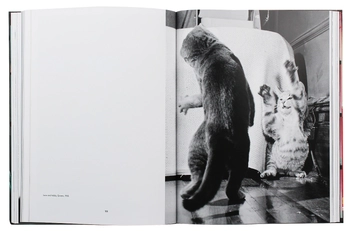 Паперова книга «Walter Chandoha. Cats. Photographs 1942–2018», авторів Волтер Чандоха, Сюзан Майклз - фото №7 - мініатюра