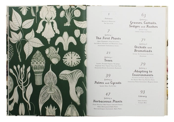 Паперова книга «Botanicum», автор Кесі Вілліс - фото №4 - мініатюра