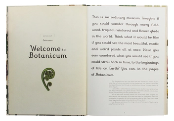 Паперова книга «Botanicum», автор Кесі Вілліс - фото №6 - мініатюра