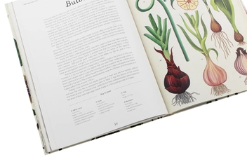Паперова книга «Botanicum», автор Кесі Вілліс - фото №10 - мініатюра