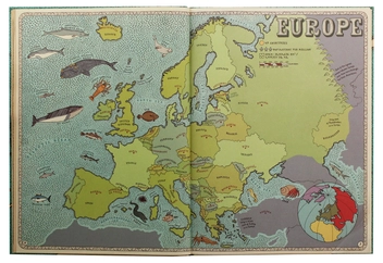 Бумажная книга «Maps», авторов Александра Мизелиньская, Даниэль Мизелиньский - фото №5 - миниатюра