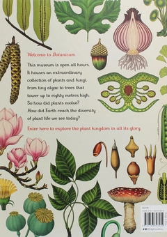 Паперова книга «Botanicum», автор Кесі Вілліс - фото №2 - мініатюра