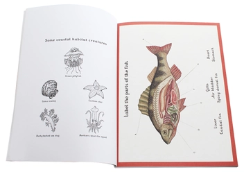 Бумажная книга «Animalium Activity Book» - фото №5 - миниатюра