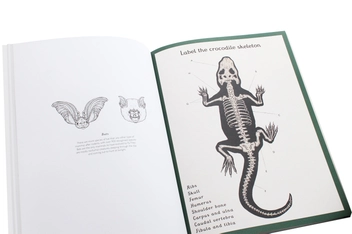 Бумажная книга «Animalium Activity Book» - фото №7 - миниатюра