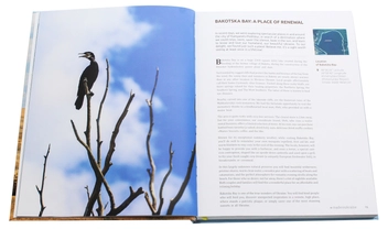 Бумажная книга «#madeinukraine. Shop, eat, travel», автор Юлия Савостина - фото №5 - миниатюра