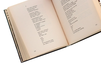 Паперова книга ««Літаюча голова» та інші вірші», автор Віктор Неборак - фото №6 - мініатюра