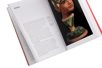 Паперова книга «Symbols in Art», автор Метью Вілсон - фото №6 - мініатюра