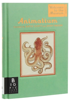 Паперова книга «Animalium. Mini Gift Edition», автор Дженні Брум - фото №2 - мініатюра