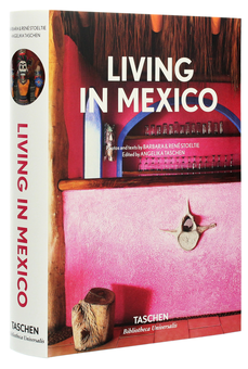 Бумажная книга «Living in Mexico», авторов Барбара Стоэльти, Рене Стоэлти - фото №3 - миниатюра