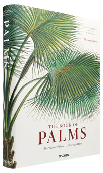 Бумажная книга «Martius. The Book of Palms», автор Х. Уолтер Лэк - фото №3 - миниатюра