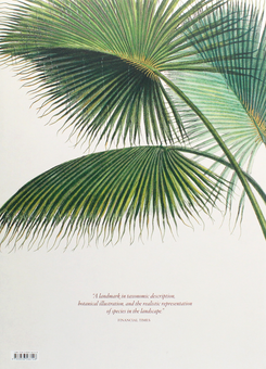 Бумажная книга «Martius. The Book of Palms», автор Х. Уолтер Лэк - фото №2 - миниатюра
