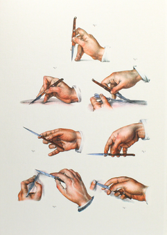 Бумажная книга «Bourgery. Atlas of Human Anatomy and Surgery», авторов Жан-Мари Ле Минор, Анри Сик - фото №2 - миниатюра