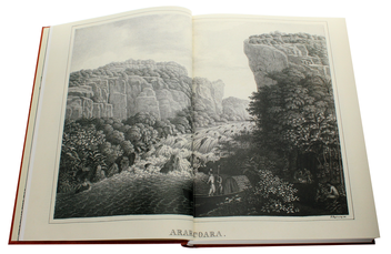 Бумажная книга «Martius. The Book of Palms», автор Х. Уолтер Лэк - фото №7 - миниатюра