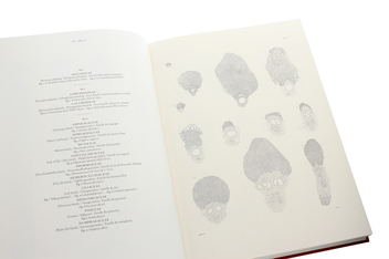 Бумажная книга «Martius. The Book of Palms», автор Х. Уолтер Лэк - фото №8 - миниатюра