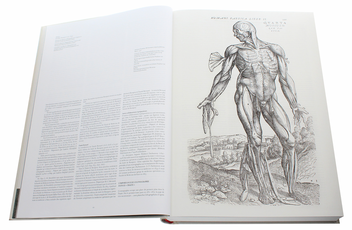 Бумажная книга «Bourgery. Atlas of Human Anatomy and Surgery», авторов Жан-Мари Ле Минор, Анри Сик - фото №4 - миниатюра
