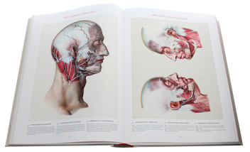 Книга «Bourgery. Atlas of Human Anatomy and Surgery» – Жан-Марі Ле