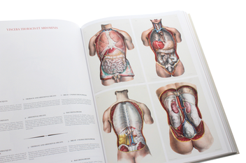 Бумажная книга «Bourgery. Atlas of Human Anatomy and Surgery», авторов Жан-Мари Ле Минор, Анри Сик - фото №8 - миниатюра