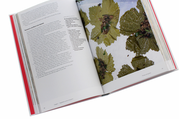 Паперова книга «Ottolenghi: The Cookbook», авторів Йотам Оттоленгі, Самі Тамімі - фото №6 - мініатюра
