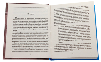 Паперова книга «Бруно Шульц», автор Андрій Павлишин - фото №4 - мініатюра