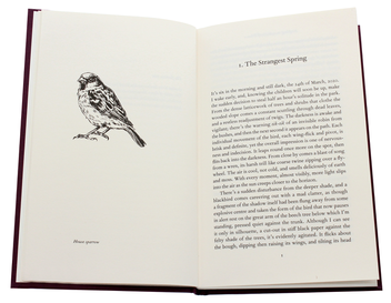 Паперова книга «Birdsong in a Time of Silence», автор Стівен Ловатт - фото №4 - мініатюра