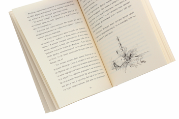 Бумажная книга «Велика казка про маленького Хлопчика», автор Петр Антып - фото №5 - миниатюра