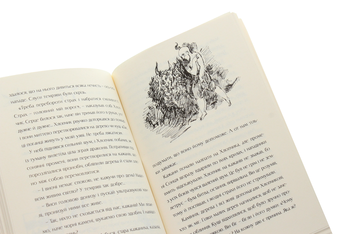 Бумажная книга «Велика казка про маленького Хлопчика», автор Петр Антып - фото №7 - миниатюра
