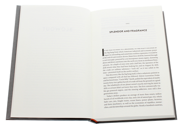 Бумажная книга «Blowout: Corrupted Democracy, Rogue State Russia, and the Richest, Most Destructive Industry on Earth», автор Рэйчел Мэддоу - фото №4 - миниатюра