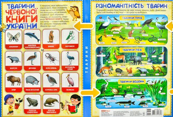 Паперова книга «Тварини. Міні-лепбук. НУШ» - фото №3 - мініатюра