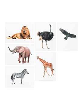 «Временные тату TATTon.me Animal Set», бренда TATTon.me - фото №3 - миниатюра