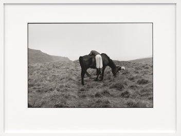 Бумажная книга «Linda McCartney. Life in Photographs, Art Edition No. 1-125 "Horse"» - фото №1 - миниатюра
