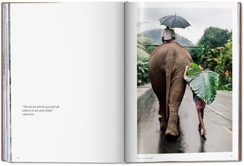Паперова книга «Steve McCurry. Animals. Art Edition No. 1-100 "Chiang Mai, Thailand, 2010"» - фото №9 - мініатюра