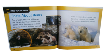 Бумажная книга «Our World Readers. The Three Bears. Big Book» - фото №3 - миниатюра