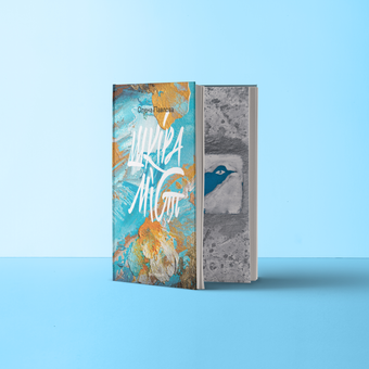 Бумажная книга «Шкіра міст», автор Елена Павлова - фото №3 - миниатюра