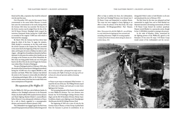 Бумажная книга «Personal Accounts of the Waffen-SS», автор Гордон Уильямсон - фото №5 - миниатюра