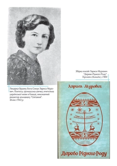 Паперова книга «Орден Бога Сонця. Історія та метафізика», автор Галина Лозко - фото №4 - мініатюра