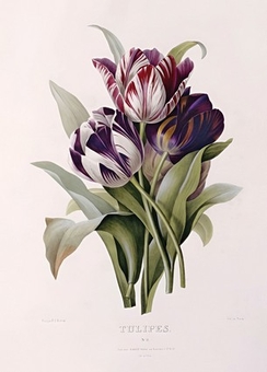 category-image