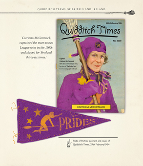 Паперова книга «Quidditch Through the Ages - Illustrated Edition», автор Джоан Ролінґ - фото №14 - мініатюра