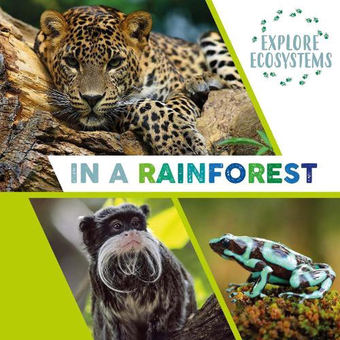 Бумажная книга «Explore Ecosystems. In a Rainforest», автор Сара Ридли - фото №1 - миниатюра